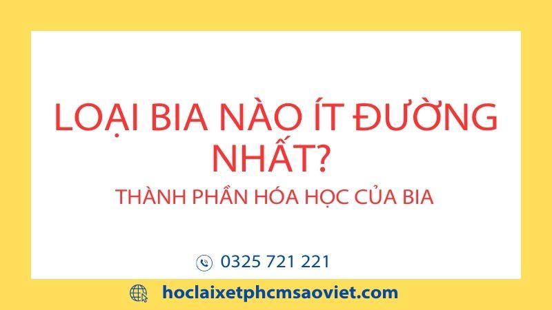 Loại bia nào ít đường nhất? Thành phần hóa học của bia