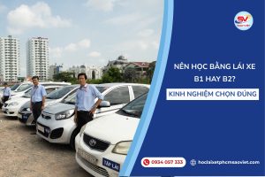 Nên học bằng lái xe B1 hay B2? Kinh nghiệm chọn đúng